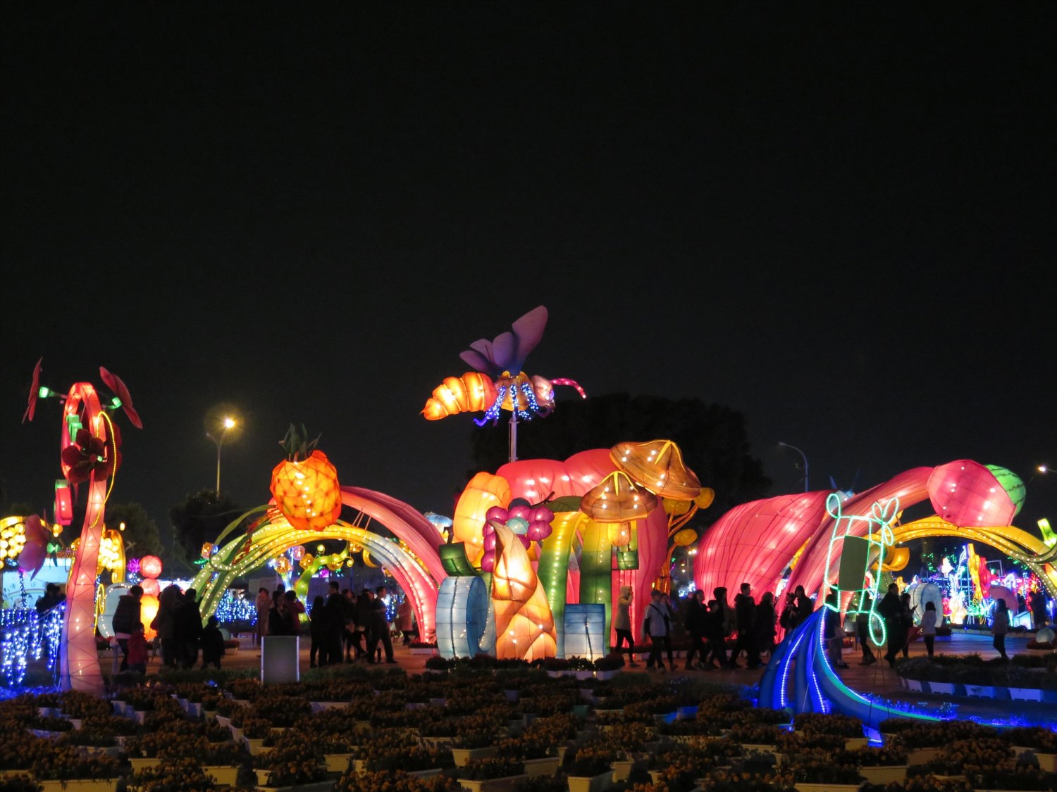 2015台灣燈會在台中「台中飛揚」