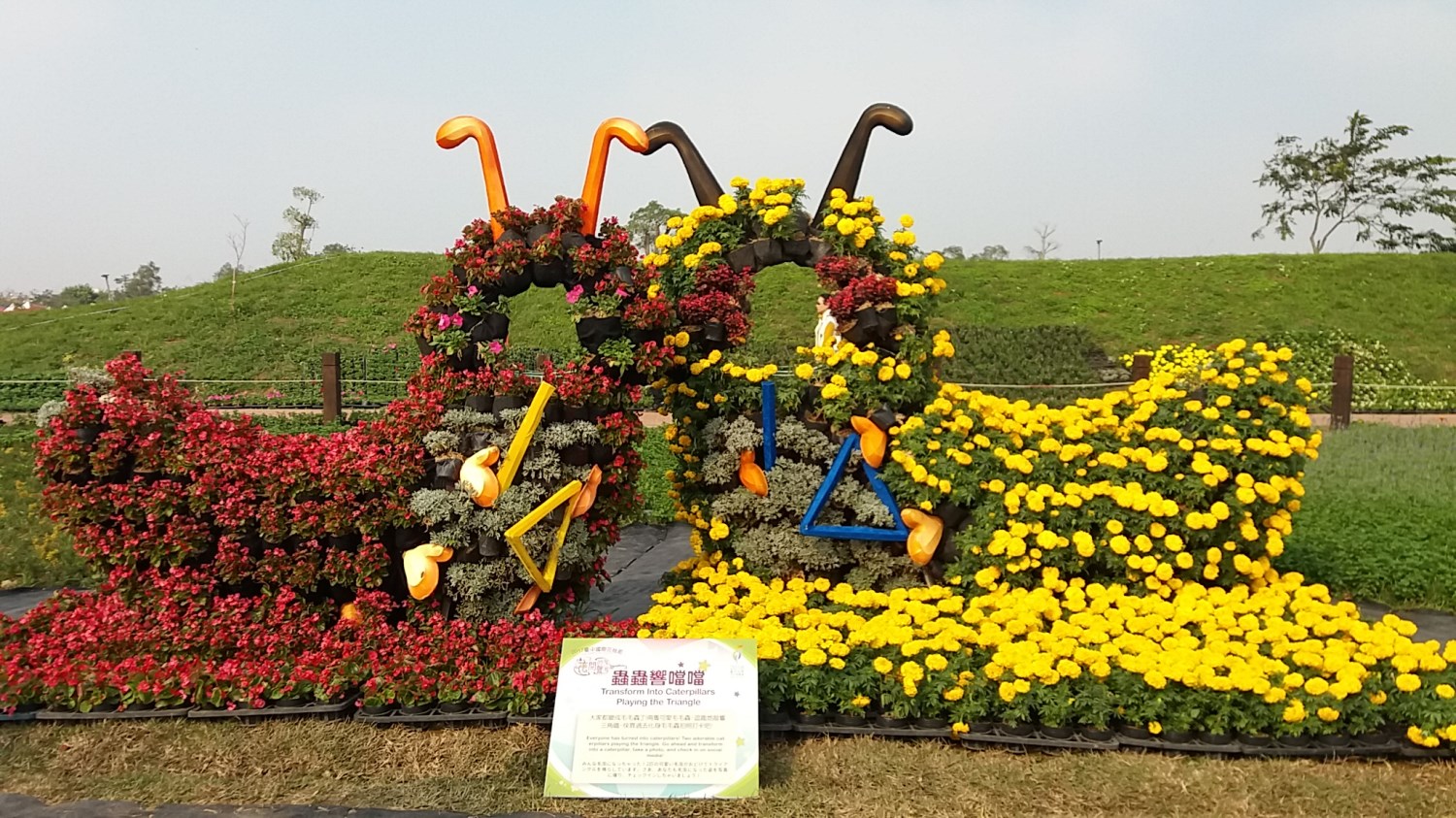 2017臺中國際花毯節「花開的聲音」
