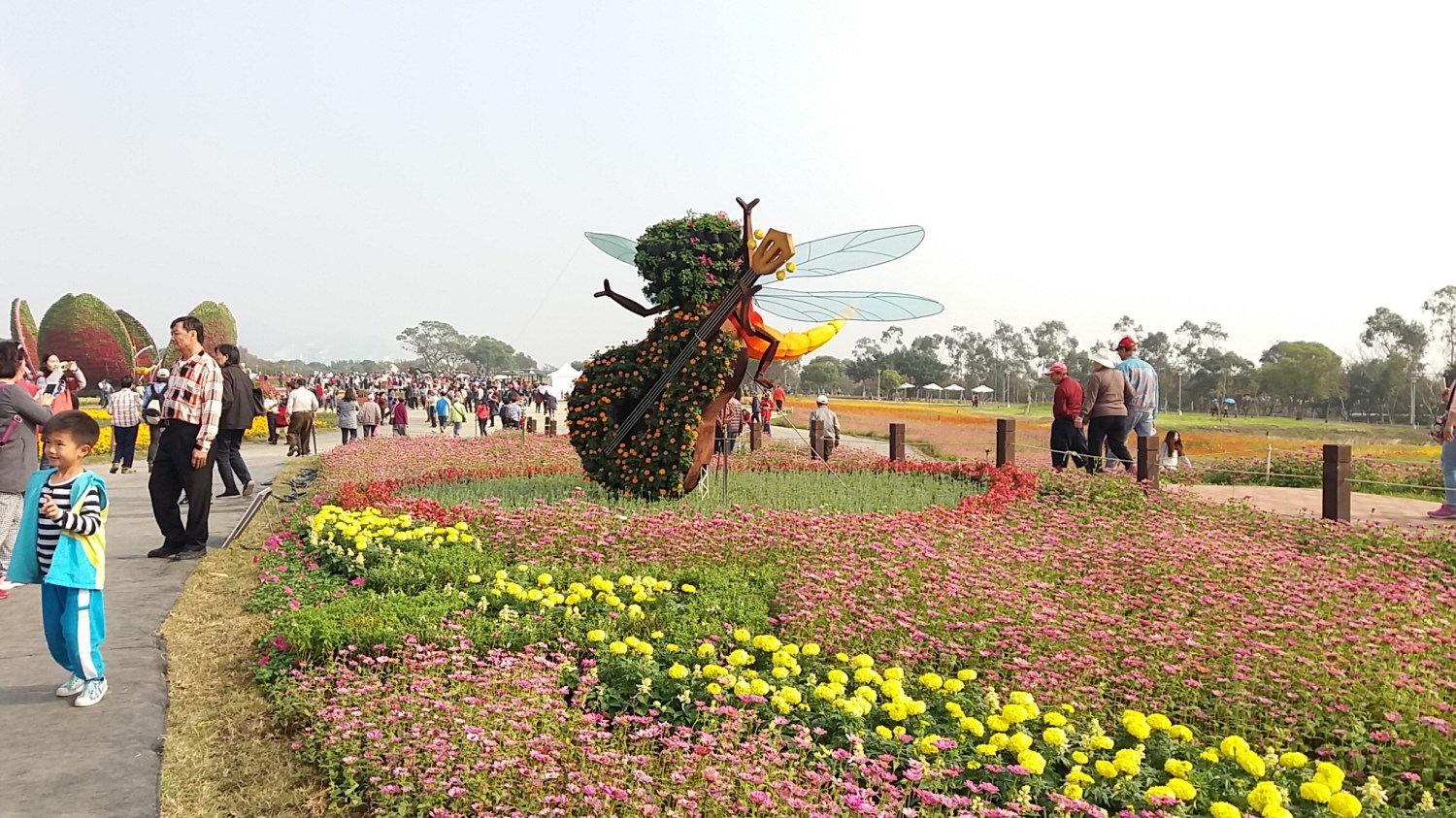 2017臺中國際花毯節「花開的聲音」