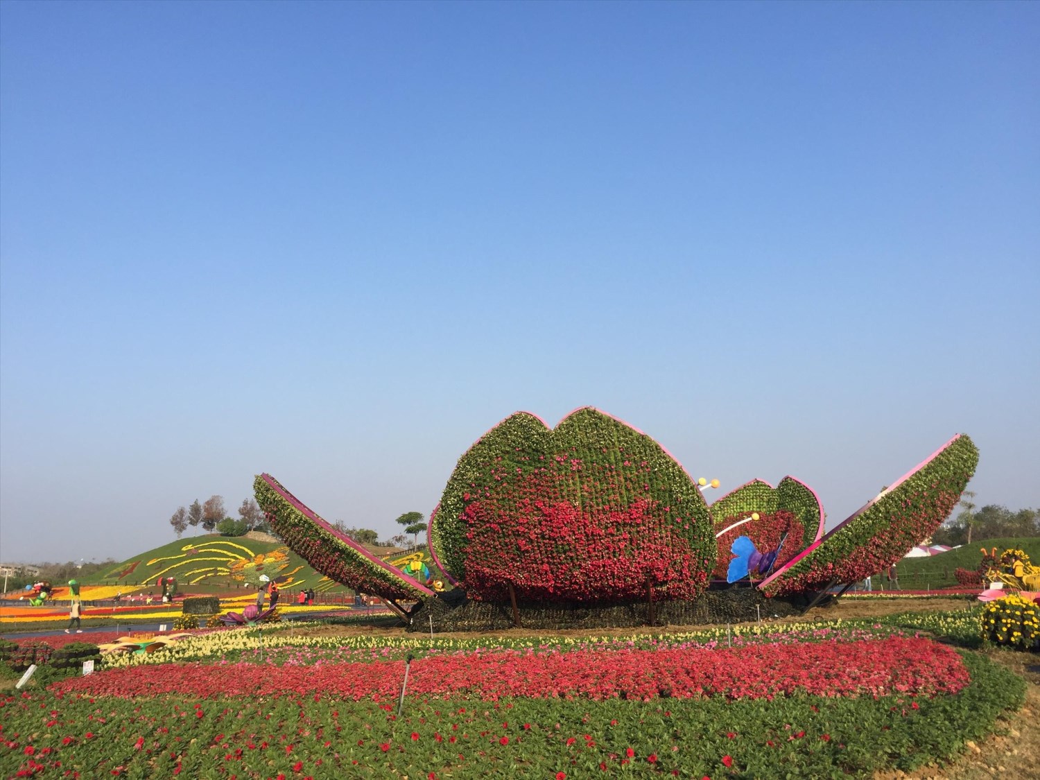 2017臺中國際花毯節「花開的聲音」