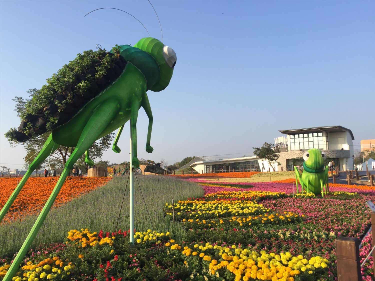 2017臺中國際花毯節「花開的聲音」