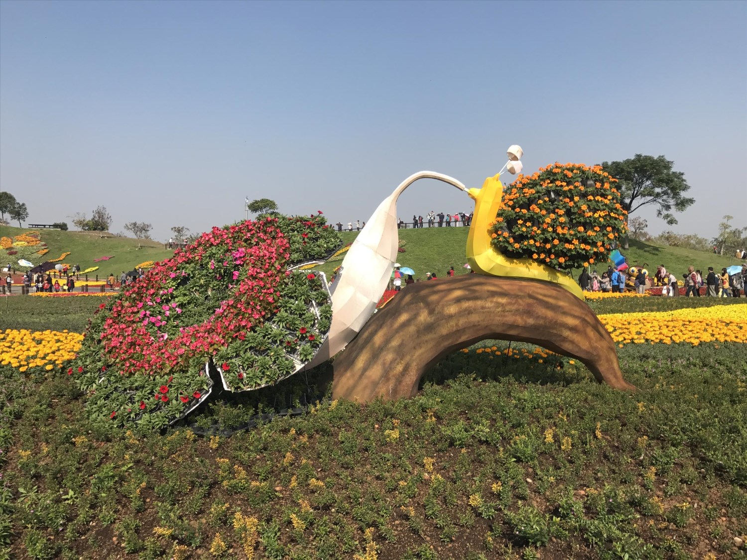 2017臺中國際花毯節「花開的聲音」