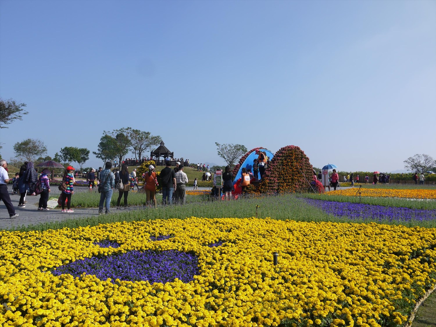 2016臺中國際花毯節「花現新樂園」