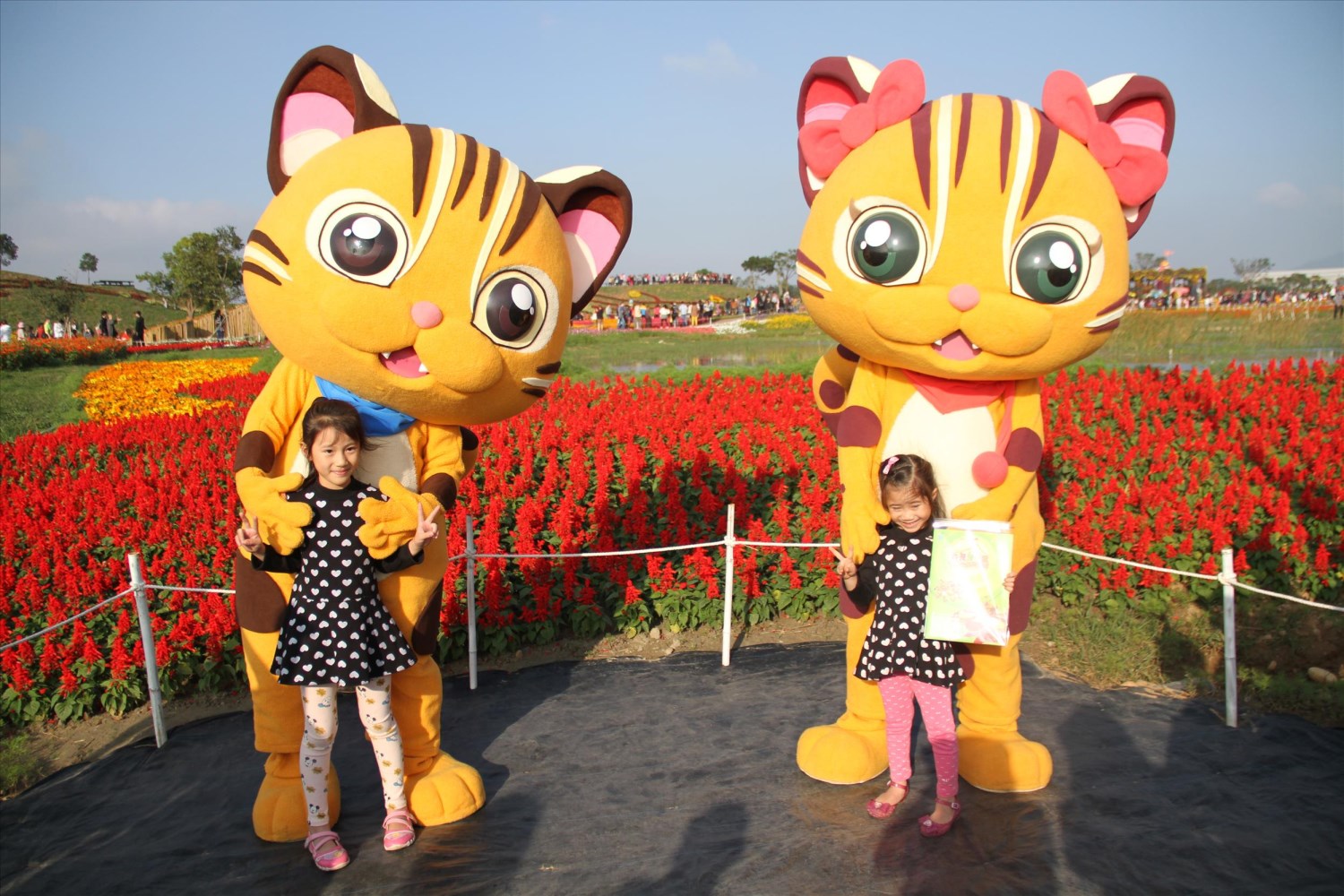 2016臺中國際花毯節「花現新樂園」