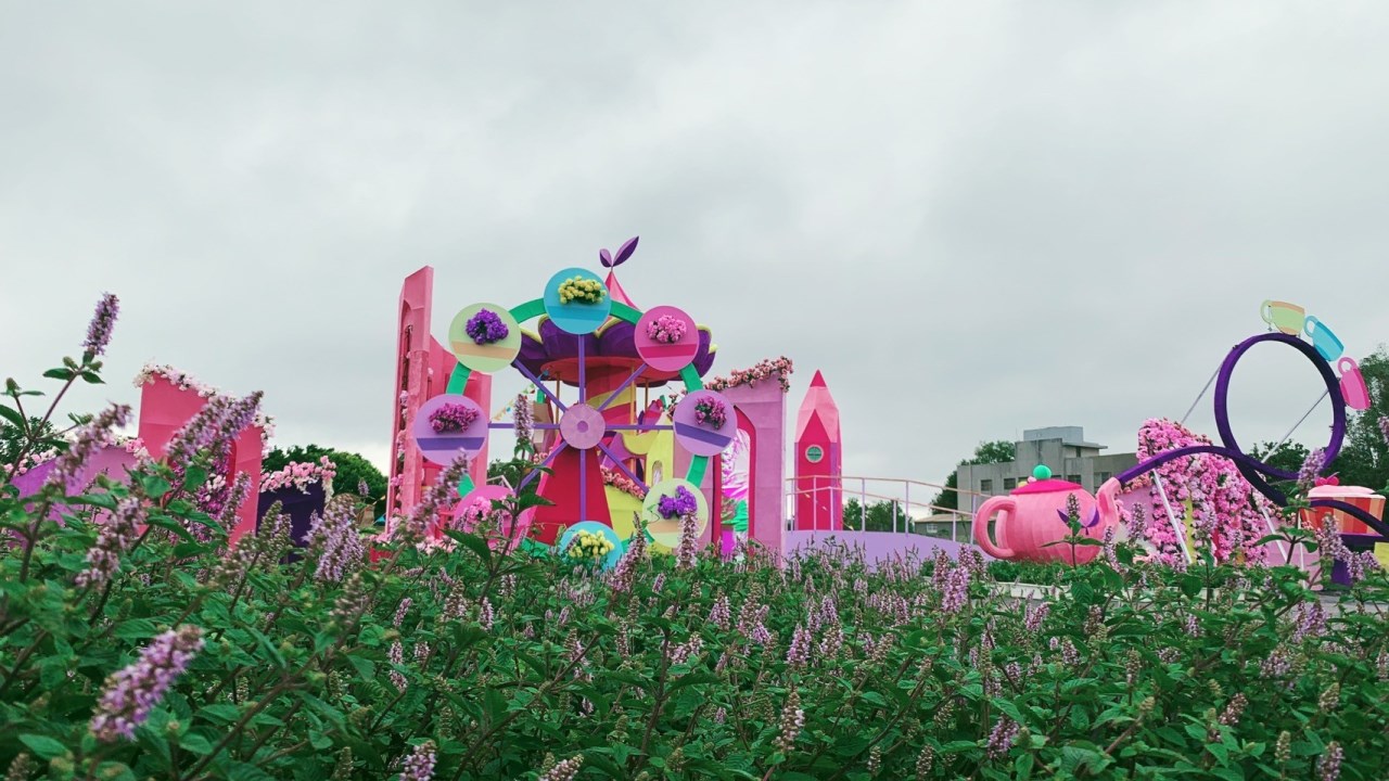 2024仙草嘉年華「花田遊樂園」
