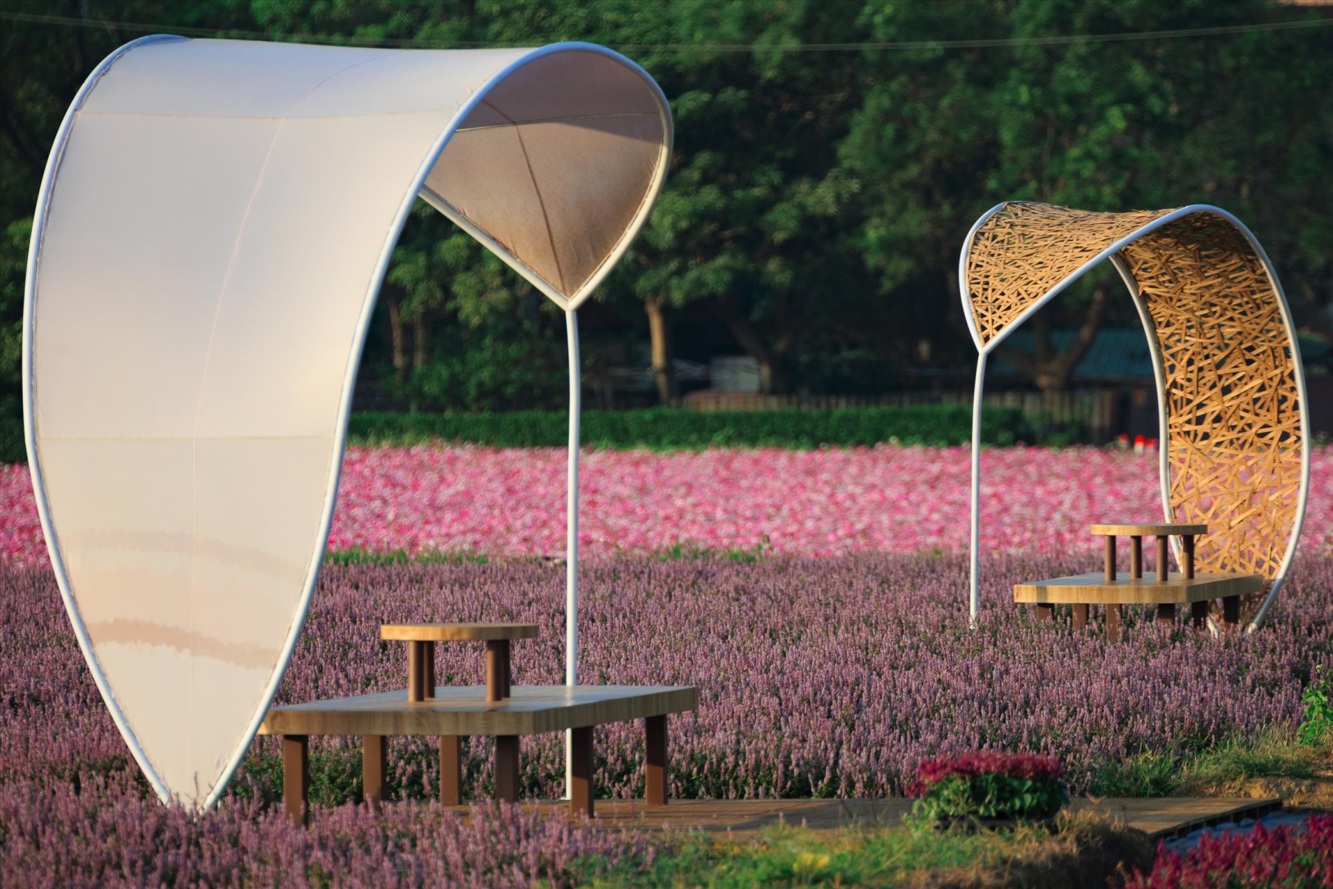 2022桃園仙草花節「仙茶之舞」 