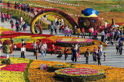 2016臺中國際花毯節「花現新樂園」