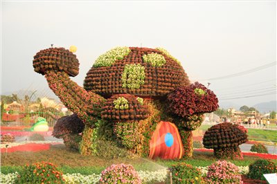 2014臺中國際花毯節「心動臺中」
